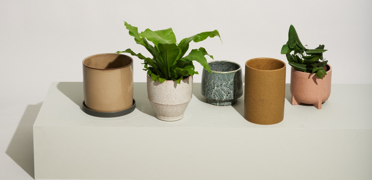 Plant Pots